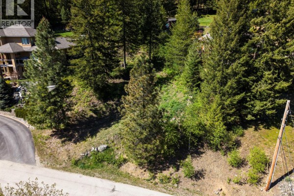 Lot C Woodland Drive, Taghum, BC V1L6W9 Photo 4