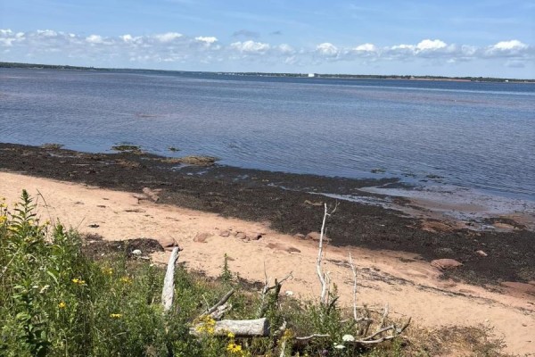 Lot Campbell Road, Panmure Island, PE C0A1R0 Photo 4