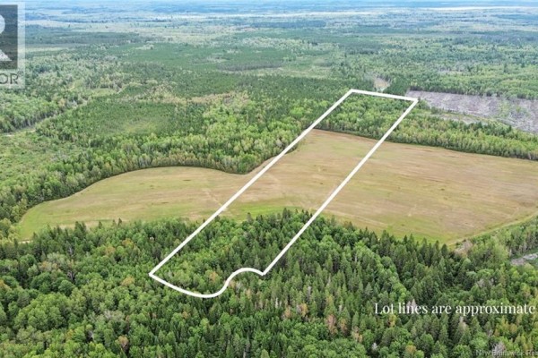 Lot Ch Des Heberts, Acadieville, NB E4Y1Y3 Photo 2