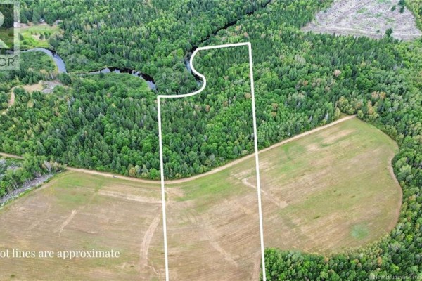 Lot Ch Des Heberts, Acadieville, NB E4Y1Y3 Photo 3