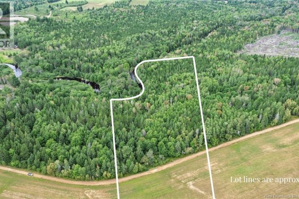 Lot Ch Des Heberts, Acadieville, NB E4Y1Y3 Photo 4