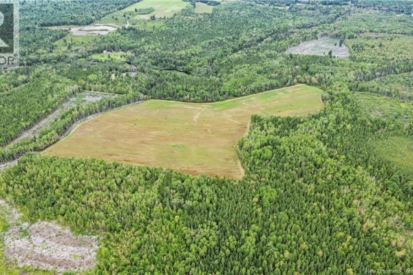 Lot Ch Des Heberts, Acadieville, NB E4Y1Y3 Photo 5