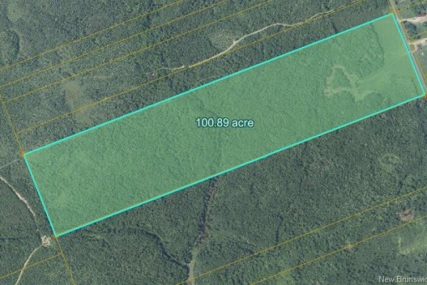 Aerial view of 100.89 acres of wooded land, outlined in blue. - Lot Chem. Lavigne Road, Maltempec