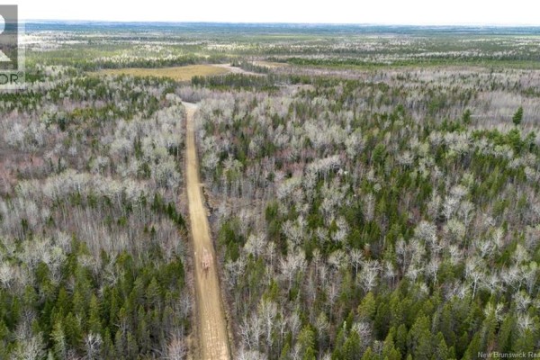 Lot Chemin Gallant, Saint Ignace, NB, photo 2