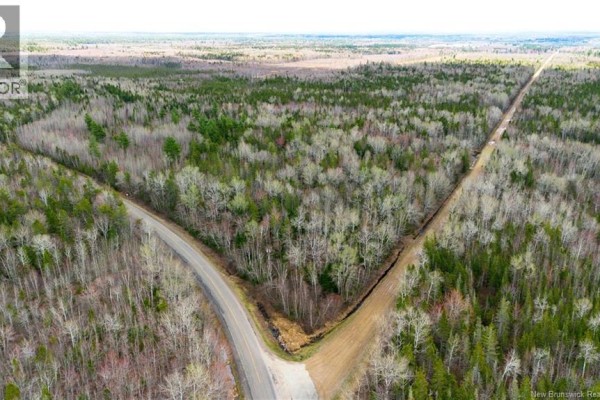 Lot Chemin Gallant, Saint Ignace, NB, photo 3