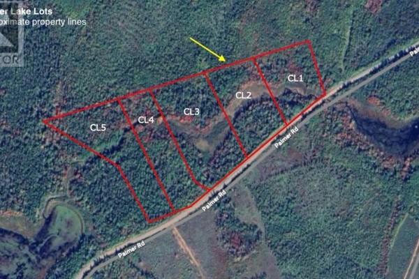 Dense forest with tall, thin trees, fallen branches, and dry undergrowth on the forest floor. - Lot Cl2 Palmer Road, West Wentworth
