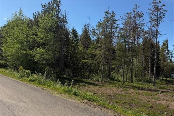 View of a tree-lined property edge with a paved road and clear blue sky. - Lot Cody Road, Boundary Creek