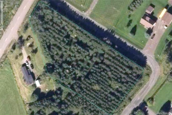 Overhead view of a large, rectangular, treed property lot outlined in teal. - Lot Cody Road, Boundary Creek
