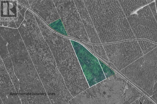 Lot Crisp Road, Inglisville, NS B0S1M0 Photo 4