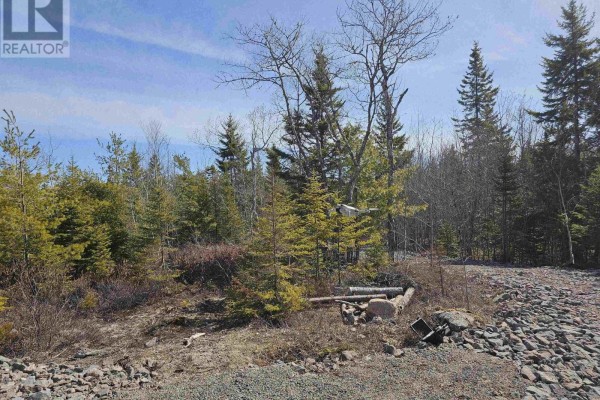 Lot Crisp Road, Inglisville, NS B0S1M0 Photo 5