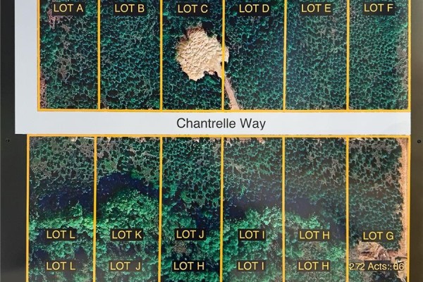 Lot D Chantrelle Way, Campbell River, BC V9H1B1 Photo 5