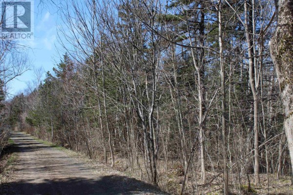 Lot D Old Litchfield Wharf Road, Litchfield, NS B0S1A0 Photo 5