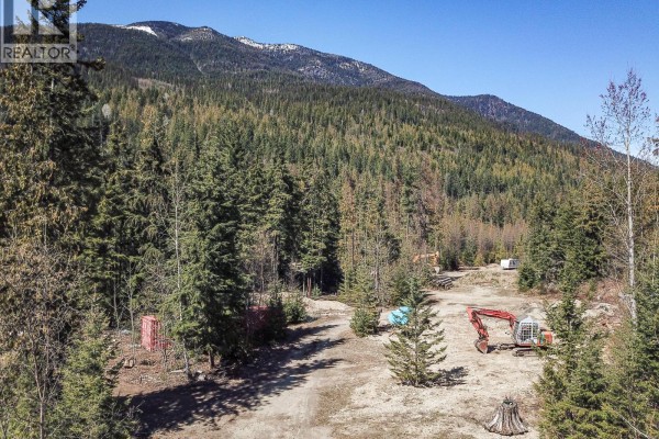 Lot D Veale Road, Balfour, BC V0G1C0 Photo 5