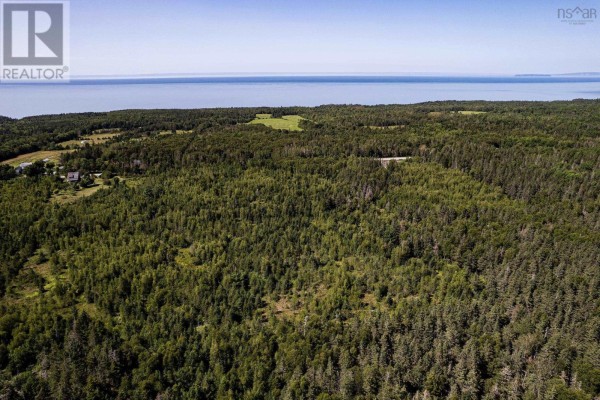 Lot Delusion Road, Moshers Corner, NS B0S1P0 Photo 3