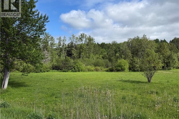 Lot Des Pionniers Avenue, Balmoral, NB E8E1C6 Photo 3
