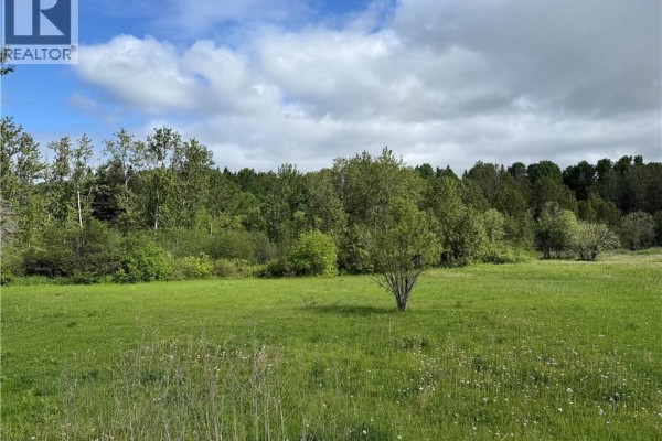 Lot Des Pionniers Avenue, Balmoral, NB E8E1C6 Photo 4