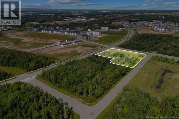 Aerial view shows a wooded parcel of land with a white boundary line. - Lot Dieppe Boulevard And Yvonne, Dieppe