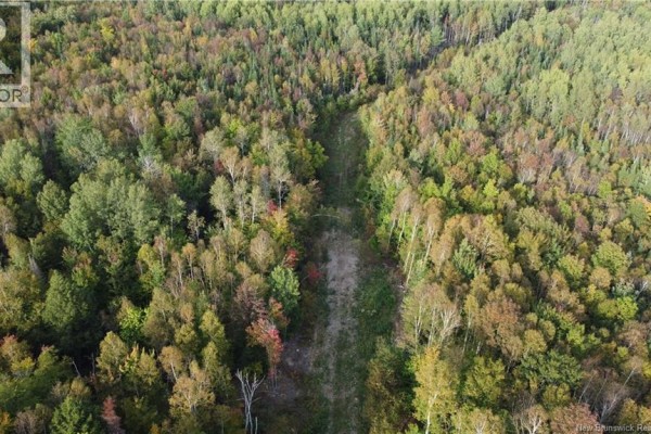 Lot Donnelly Settlement Road, Prince William, NB E6K3N3 Photo 2
