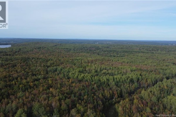 Lot Donnelly Settlement Road, Prince William, NB E6K3N3 Photo 4