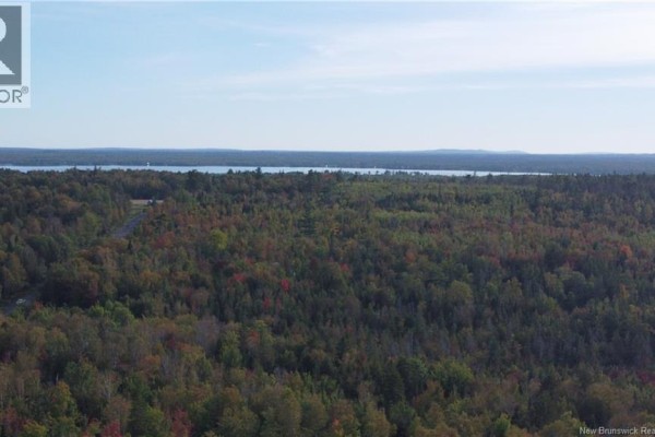 Lot Donnelly Settlement Road, Prince William, NB E6K3N3 Photo 5