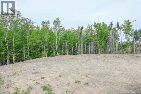 Lot Du Parc Street, Paquetville, NB E8R1J5 Photo 3