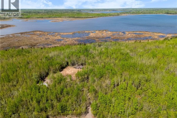 Aerial view of a large wooded lot with a cleared area and water in the distance. - Lot Duguay Point Road, Shemogue