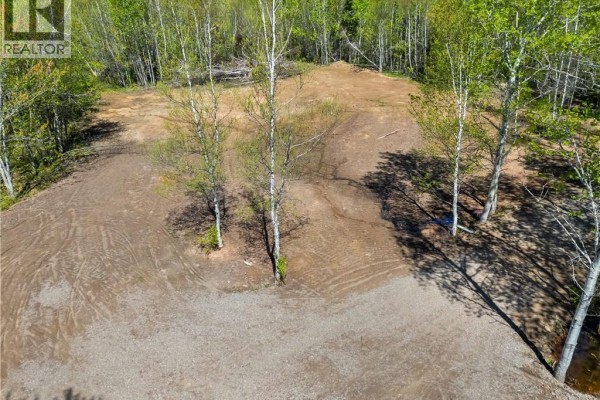 Cleared patch of land with tire tracks, surrounded by birch trees and brush. - Lot Duguay Point Road, Shemogue