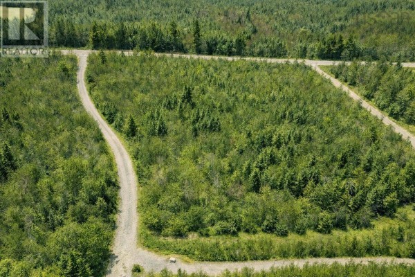 Survey map showing layout of lots with dimensions and boundaries - Lot Dunn Road, Bear River East