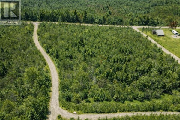 Aerial view of lush green land with winding paths and dense tree coverage - Lot Dunn Road, Bear River East