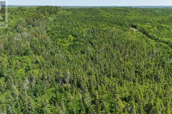 Lot East Chezzetcook Road, East Chezzetcook, NS B0J2L0 Photo 5
