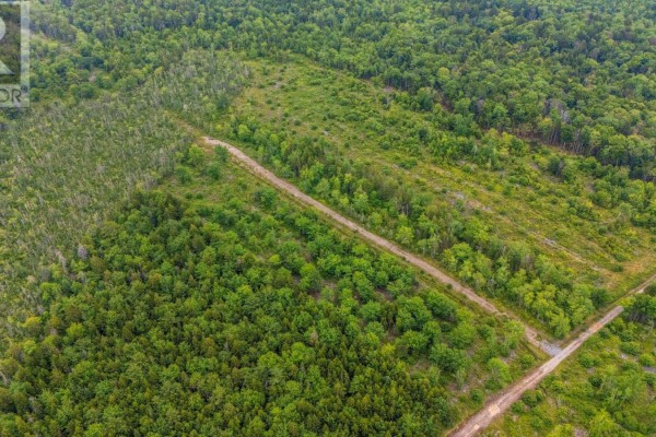 Lot East Concession Road, Lower Concession, NS B0W1M0 Photo 5