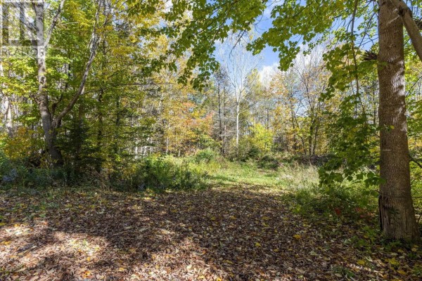 Lot East Torbrook Road, South Tremont, NS B0P1R0 Photo 2