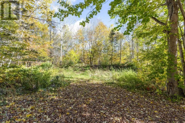 Lot East Torbrook Road, South Tremont, NS B0P1R0 Photo 3