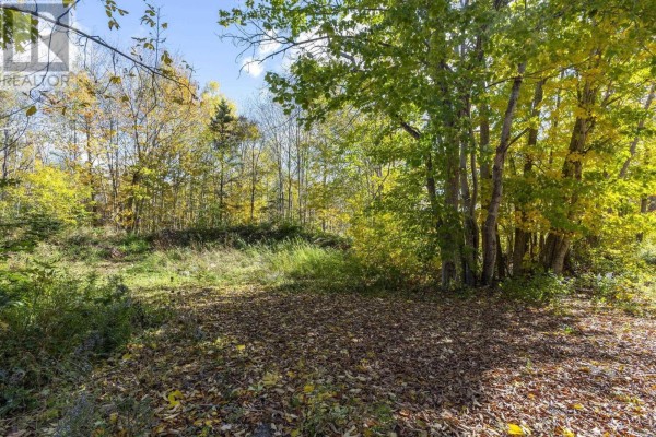 Lot East Torbrook Road, South Tremont, NS B0P1R0 Photo 4