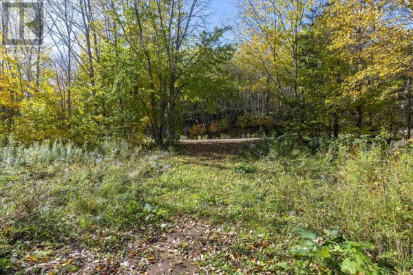 Lot East Torbrook Road, South Tremont, NS B0P1R0 Photo 5