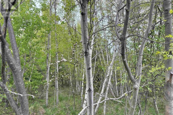 Lot Eighth Street, Trenton, NS, photo 3