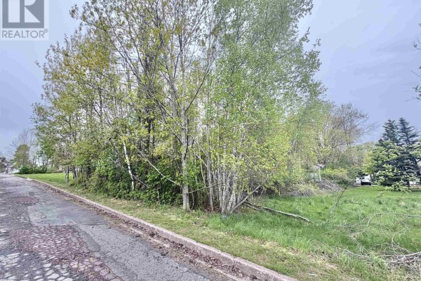 Lot Eighth Street, Trenton, NS B0K1X0 Photo 5