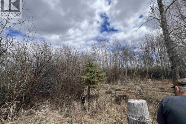 Lot F 257 Road, Fort St  John, BC V1J8C2 Photo 4