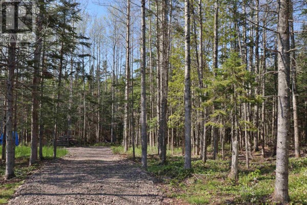 Lot Forest Glade Road, Forest Glade, NS B0S1N0 Photo 4