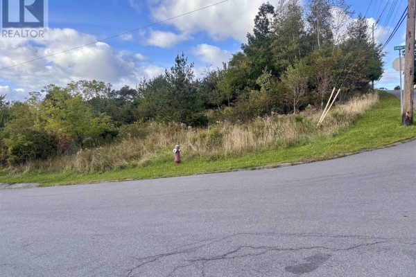 Lot Forge Street, Trenton, NS B0K1X2 Photo 4