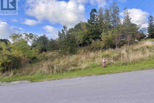 Lot Forge Street, Trenton, NS B0K1X2 Photo 5