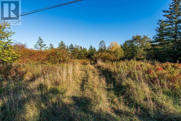 Lot Fort Point Road, Ashmore, NS B0W3T0 Photo 3