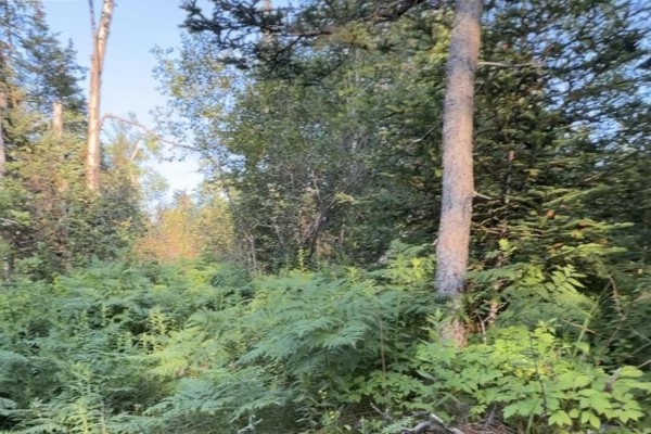 Lot French Cross Road, Morden, NS B0P1C0 Photo 4