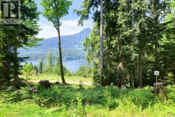 Path through a wooded area with foxglove flowers and distant water view. - Lot G Cotton Bay Road, Gambier Island