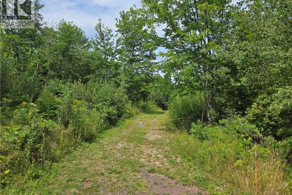 Lot Gerard, Saint Antoine, NB E4V1A8 Photo 4