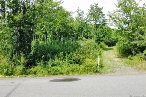 Lot Gerard, Saint Antoine, NB E4V1A8 Photo 5