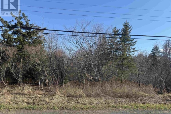 View of a wooded lot with bare trees and tall dry grass bordering a paved road. - Lot Greenhill Road, Alma