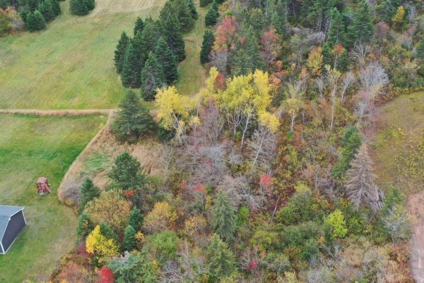 Aerial view of a sloped lot with mixed trees showing autumn colors and adjacent fields. - Lot Greenhill Road, Alma