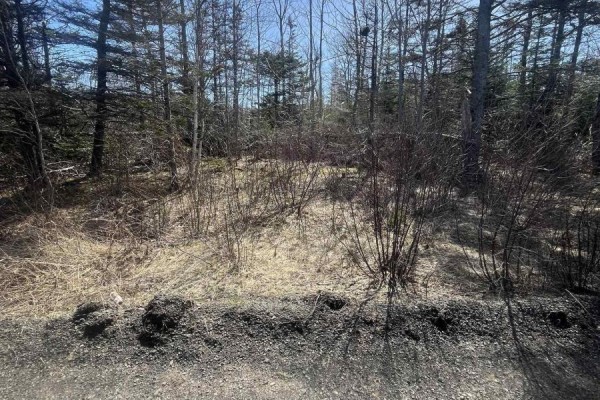 Lot Hampton Mountain Road, Hampton, NS B0S1L0 Photo 5