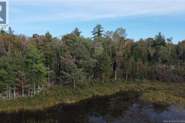 Lot Hazen Lane, Lake George, NB E6K2N9 Photo 2